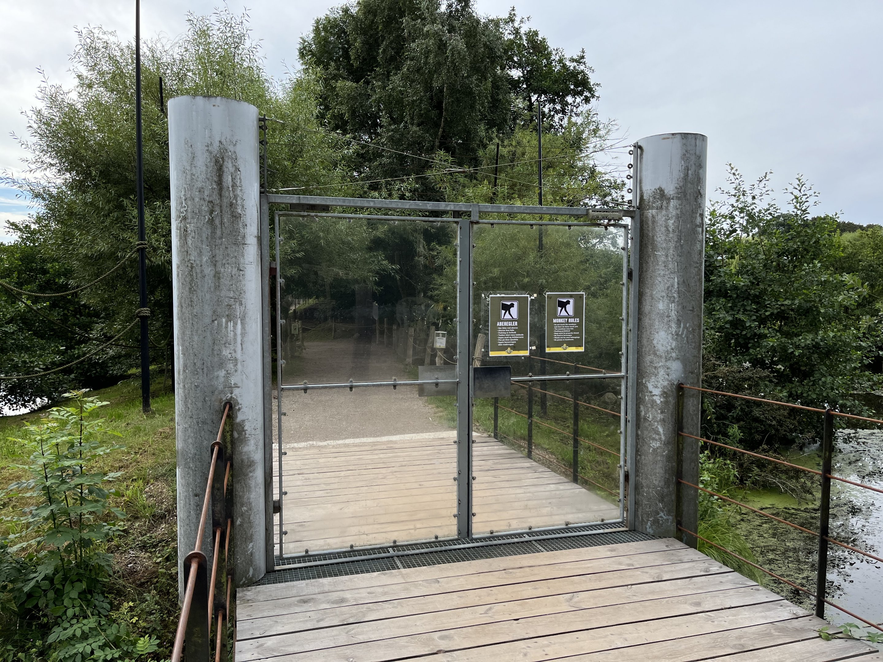 Squirrel Monkey Walk Through