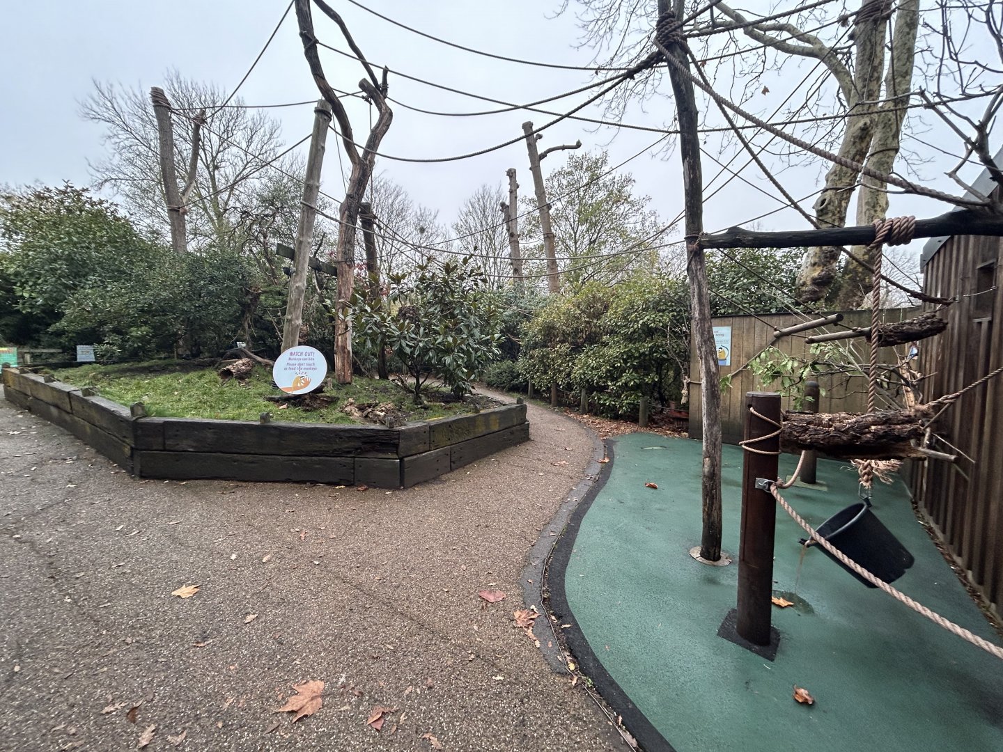 Squirrel Monkey Walkthrough Exhibit