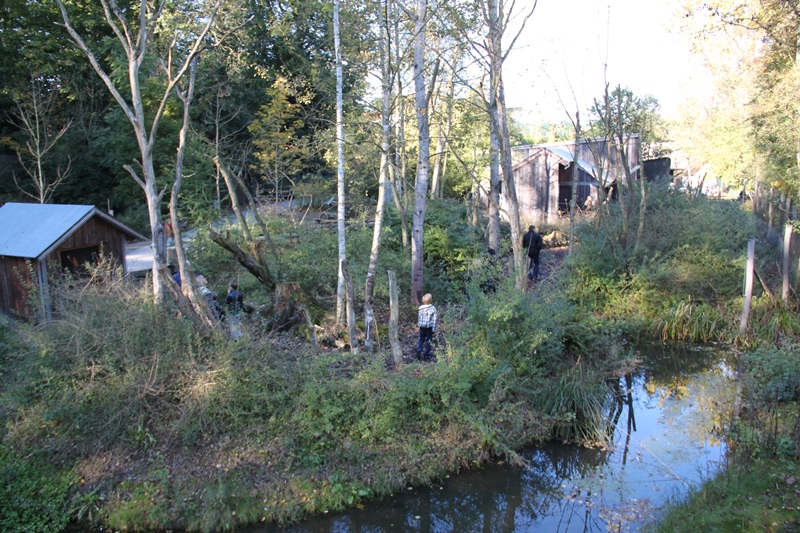 Squirrel Monkey Walkthrough