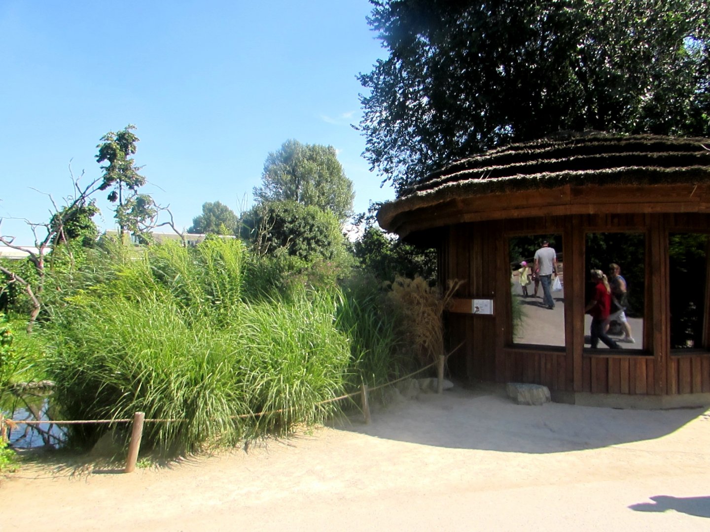 Squirrel Monkeys House - July/2017