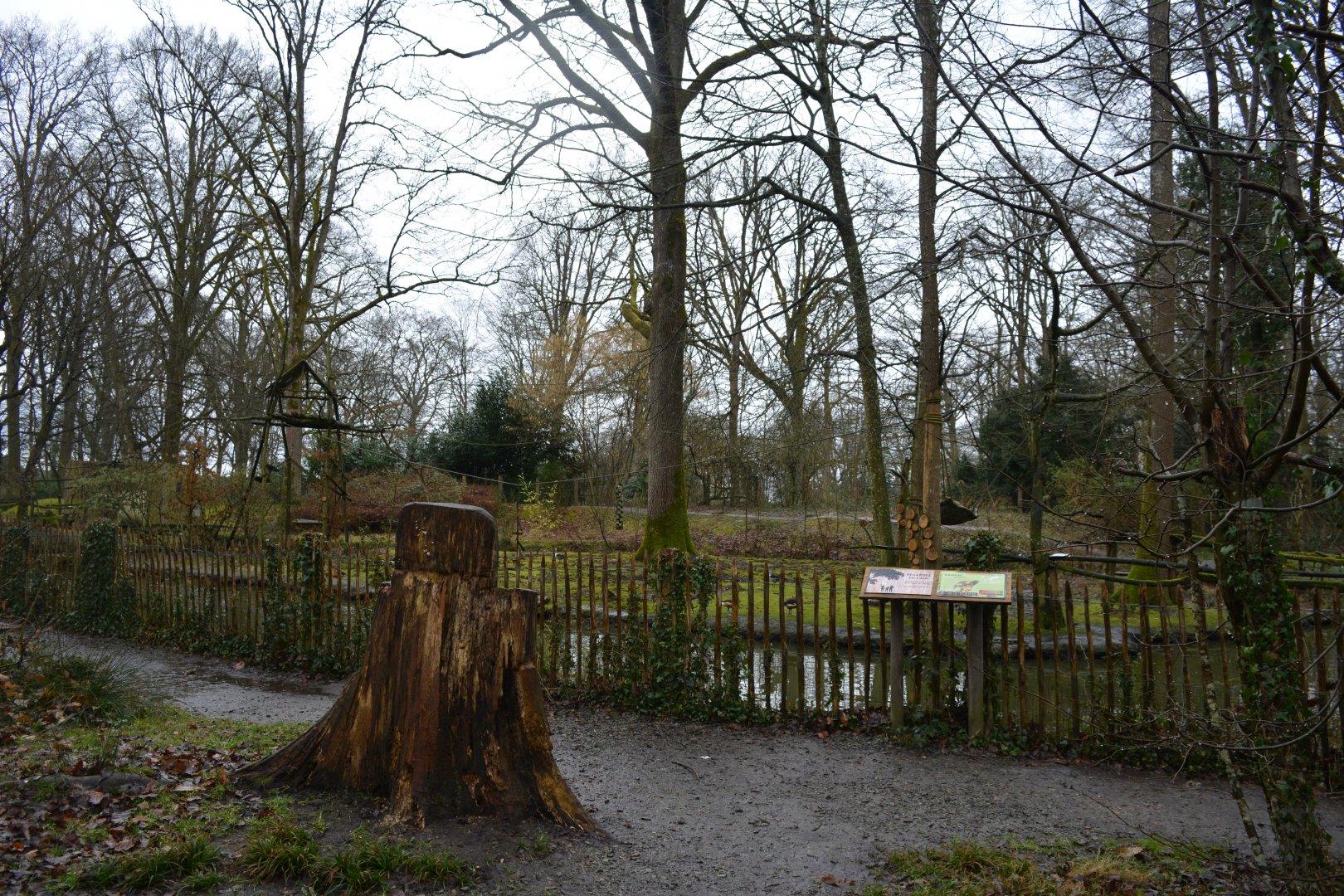 Squirrel monkeys island