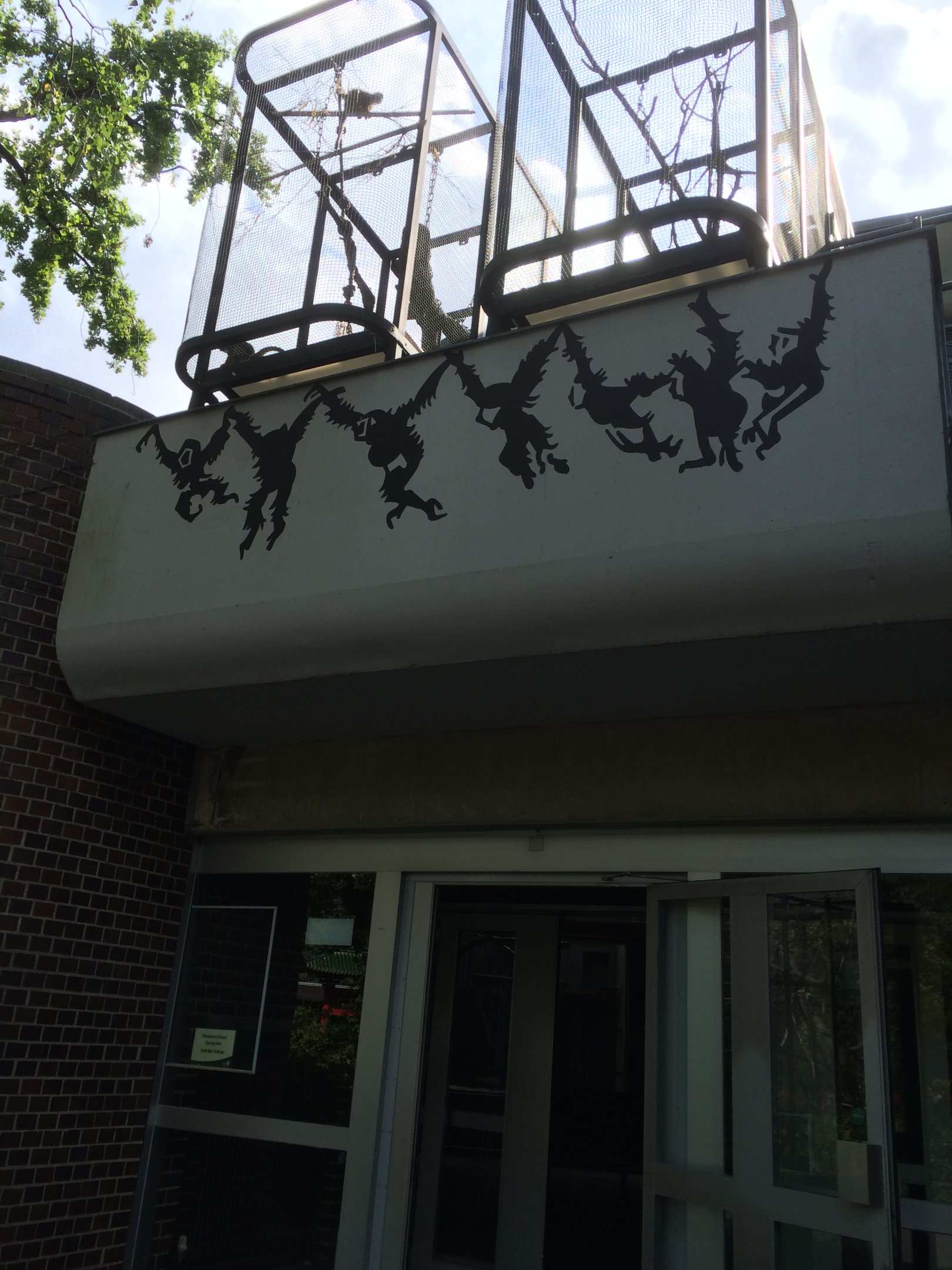 Squirrel monkeys on the roof