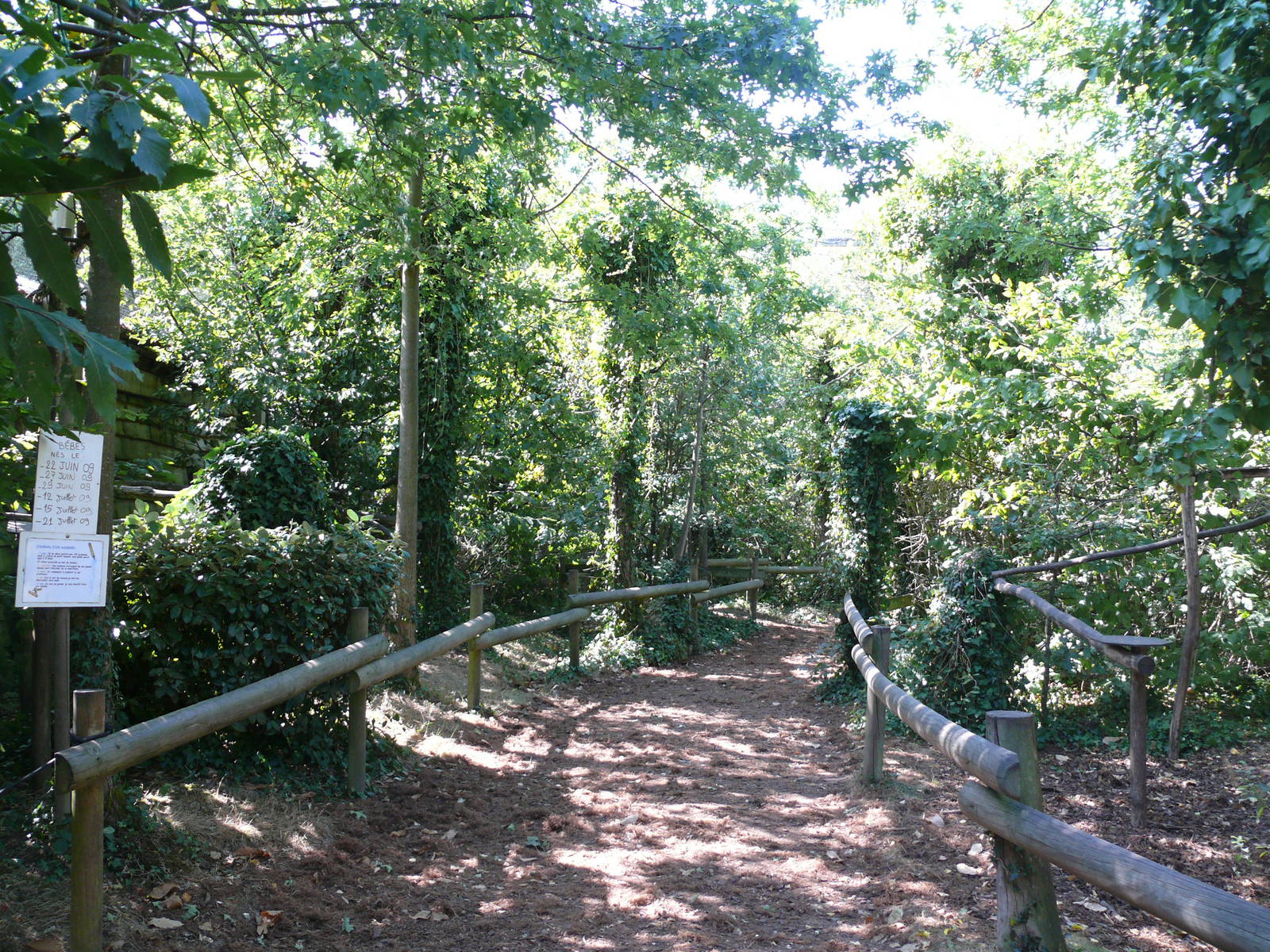 Squirrel monkeys walk-through exhibit