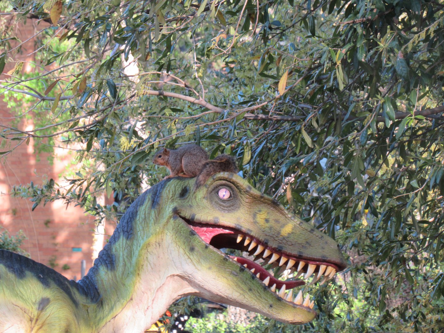 Squirrel on Velociraptor