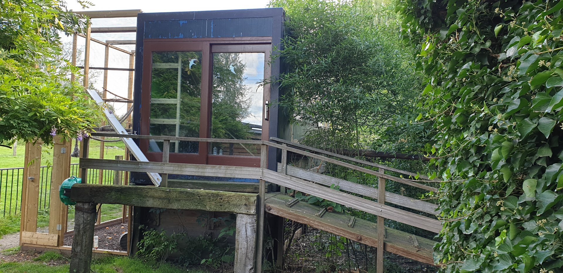 Squirrel-outdoor enclosure - left - and former Reptilian-house - now closed