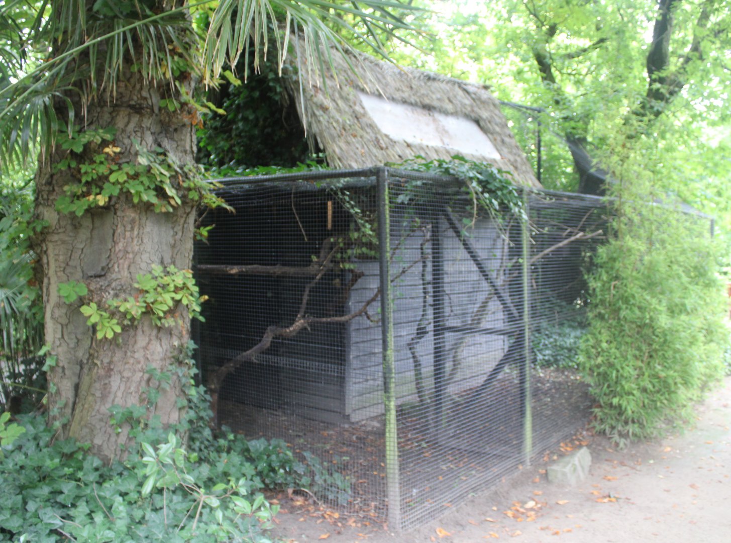 Squirrel - Parakeet enclosures
