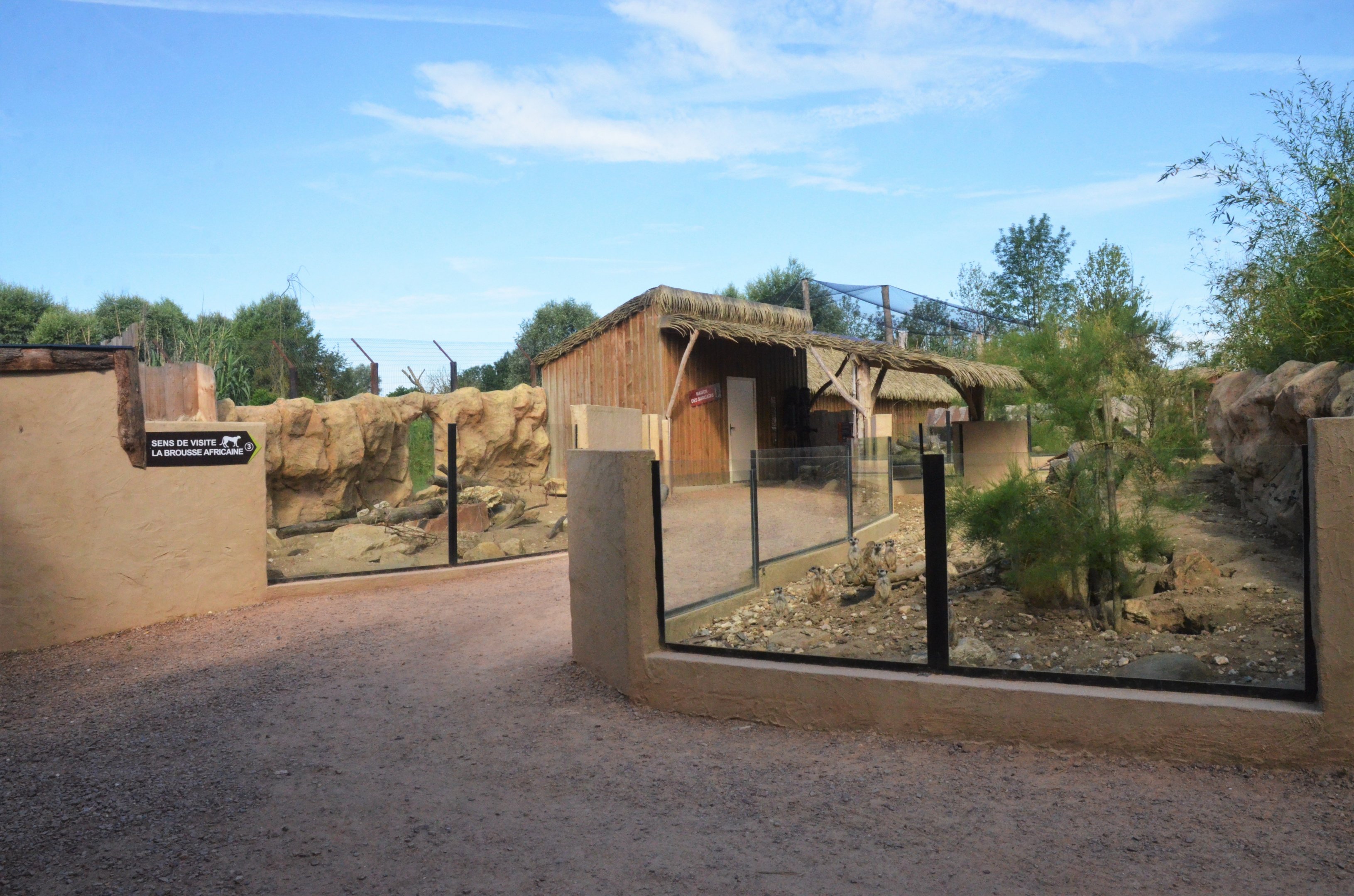 Squirrel, Porcupine and Meerkat at Biotropica, 16/06/18