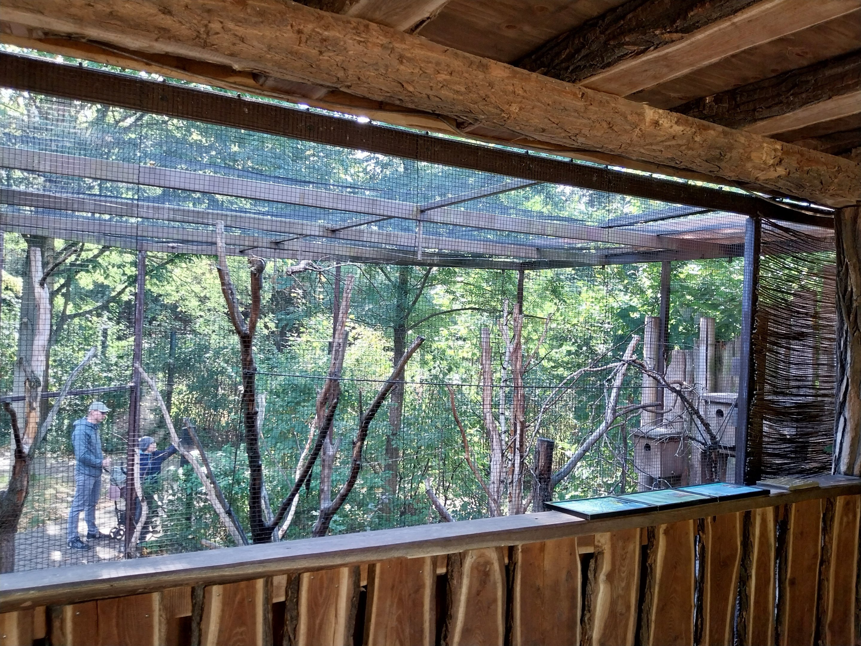 Squirrel & Tragopan Aviary