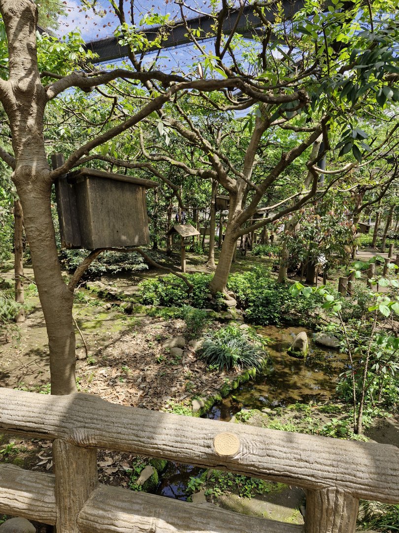 Squirrel walk through