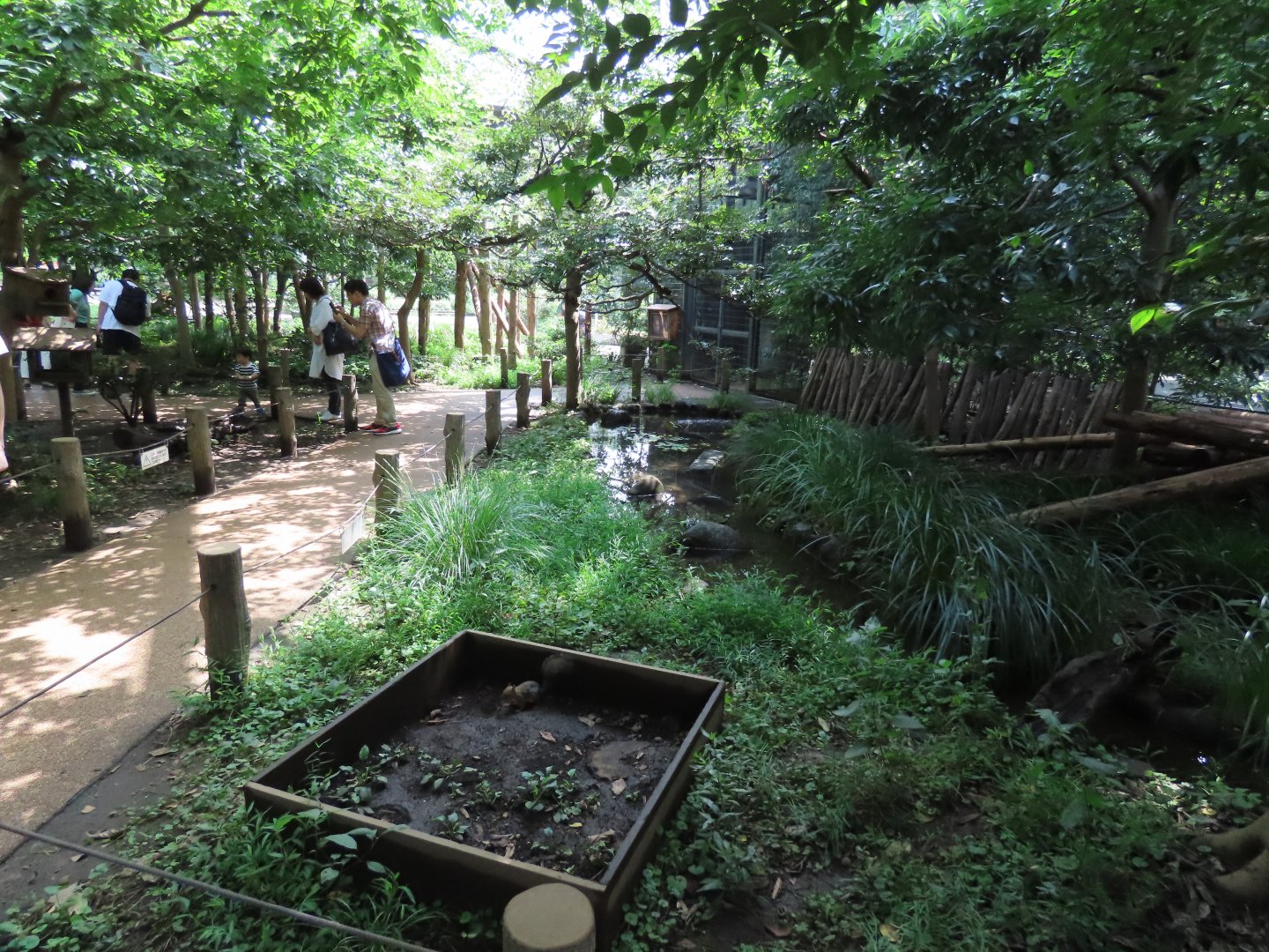 Squirrel walkthrough