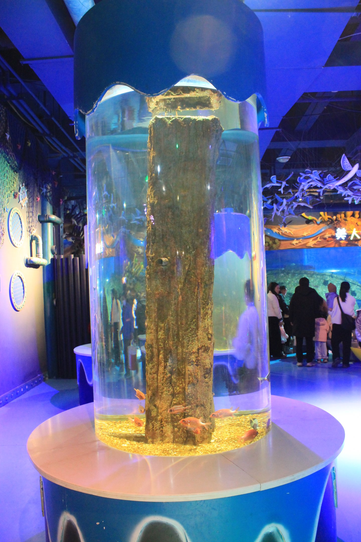 Squirrelfish at Fantasy Aquarium, Xi'an