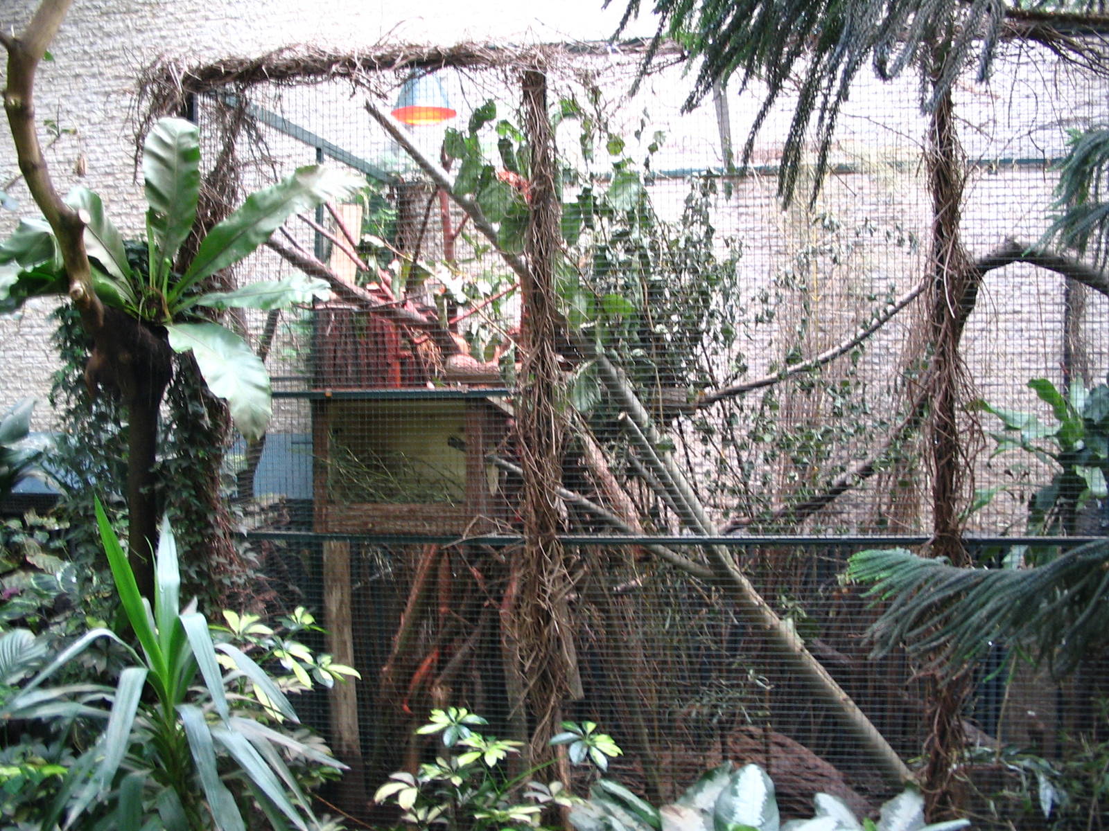 Sri-Lanka giant squirrel enclosure