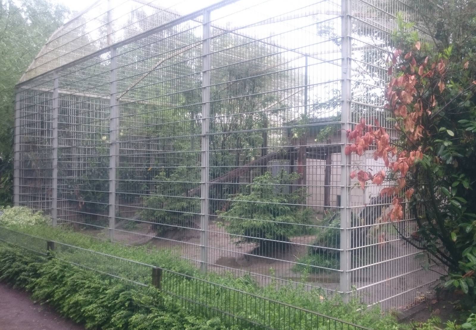 Sri Lanka leopard enclosure