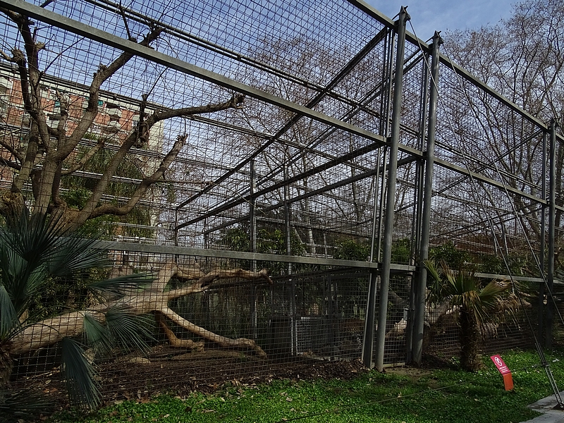 Sri Lanka Leopard enclosure