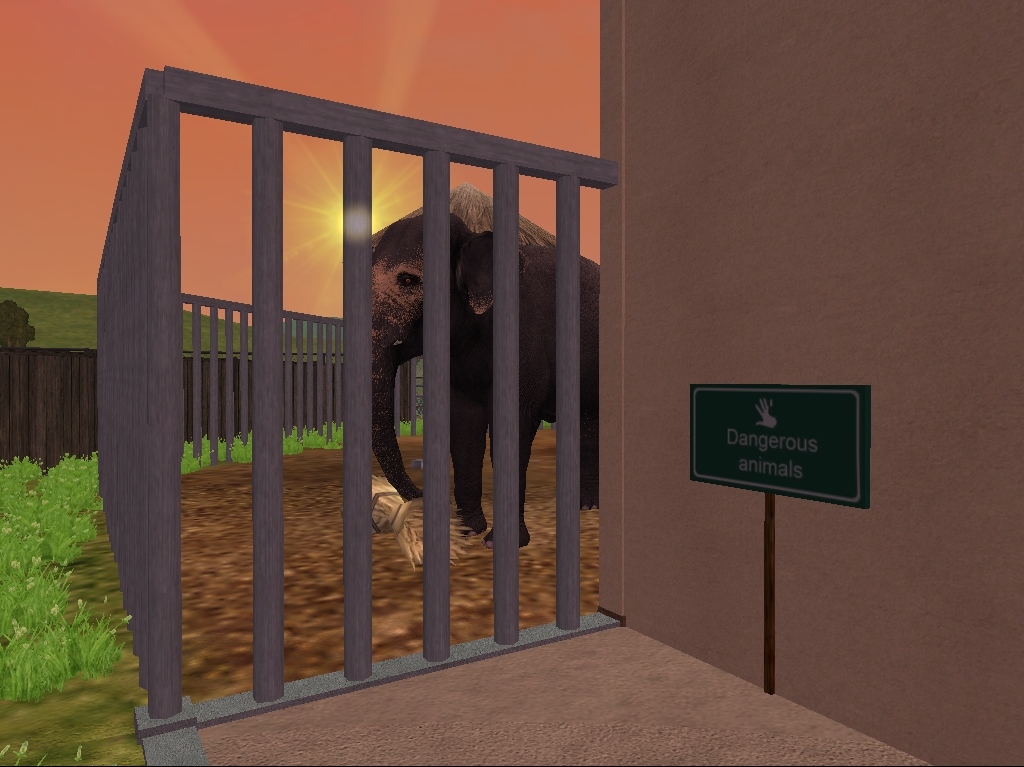 Sri Lankan Elephant Bull Outdoor Training Area