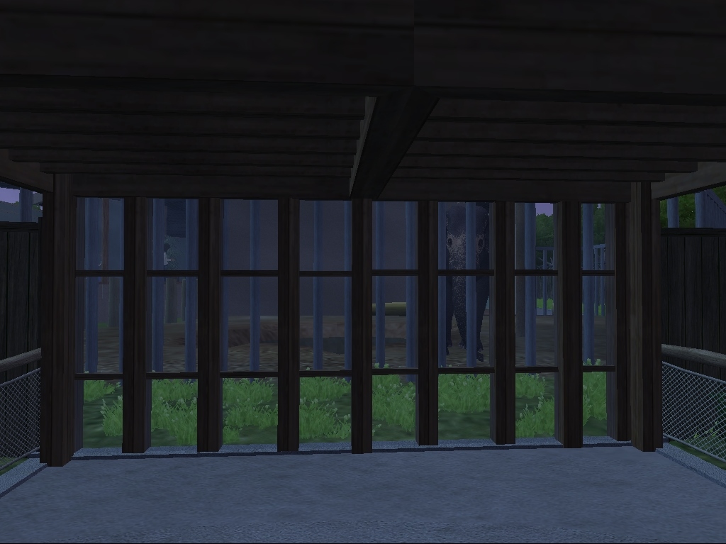 Sri Lankan Elephant Bull Outside View