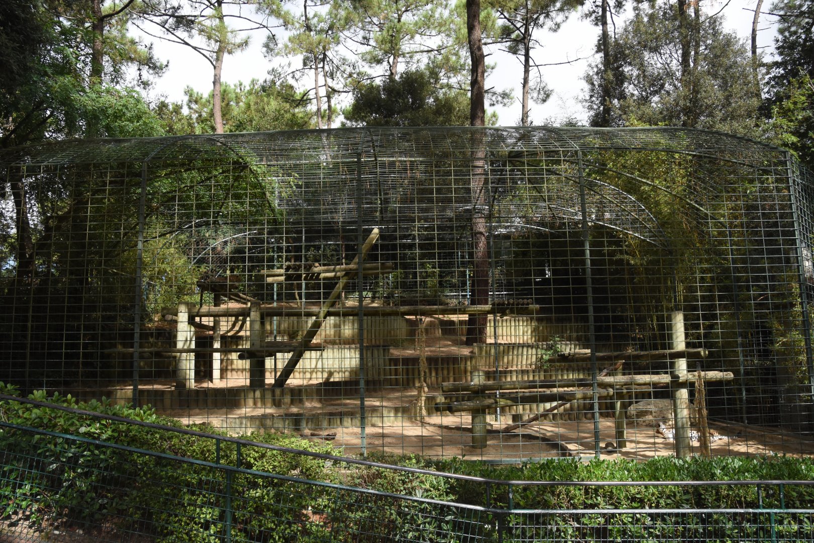 Sri-Lankan Leopard cage