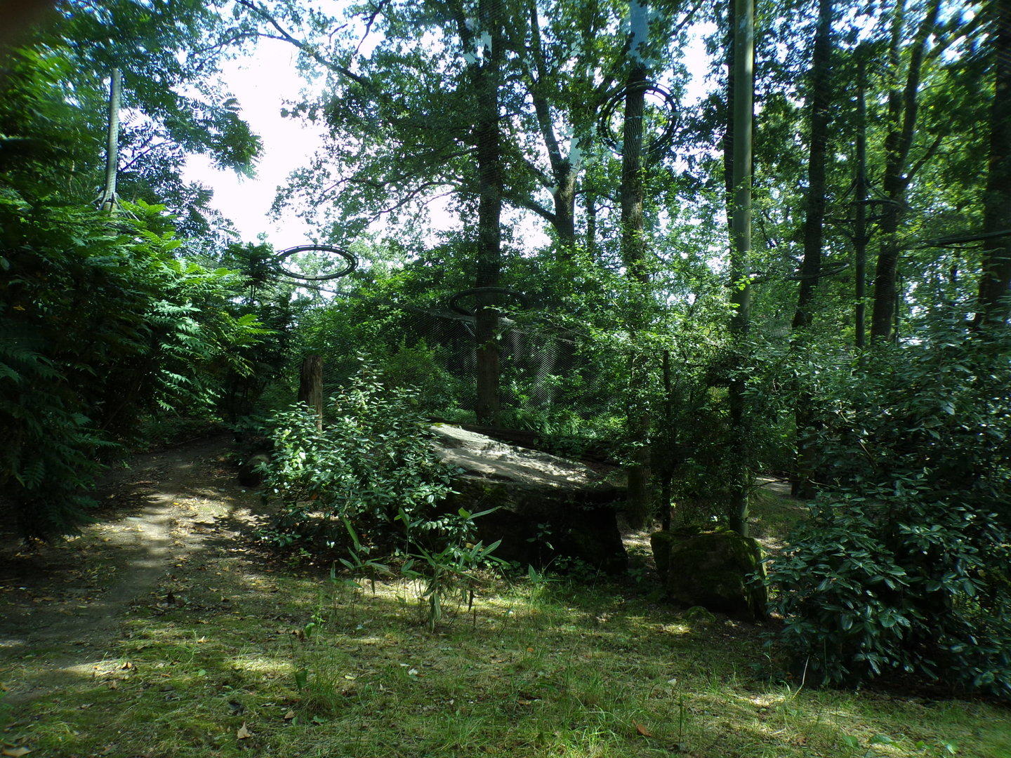 Sri Lankan leopard enclosure 6.7.23
