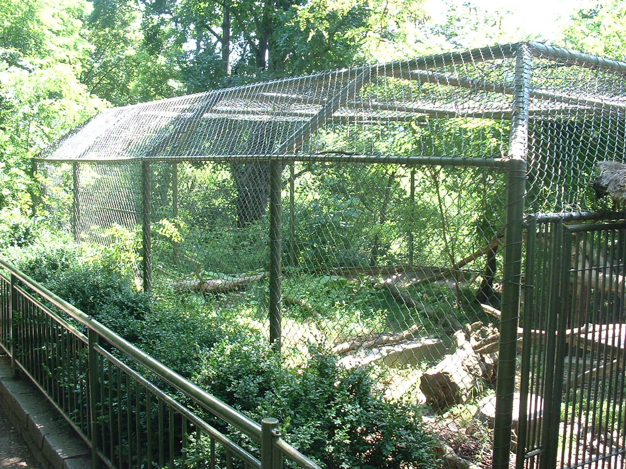 Sri Lankan Leopard Enclosure - Brno Zoo, July 2013