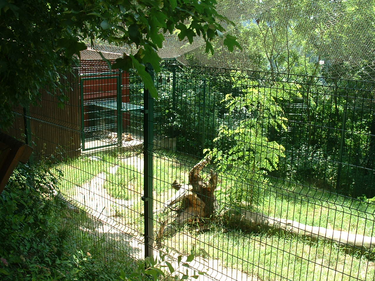 Sri Lankan Leopard Enclosure - Brno Zoo, July 2013