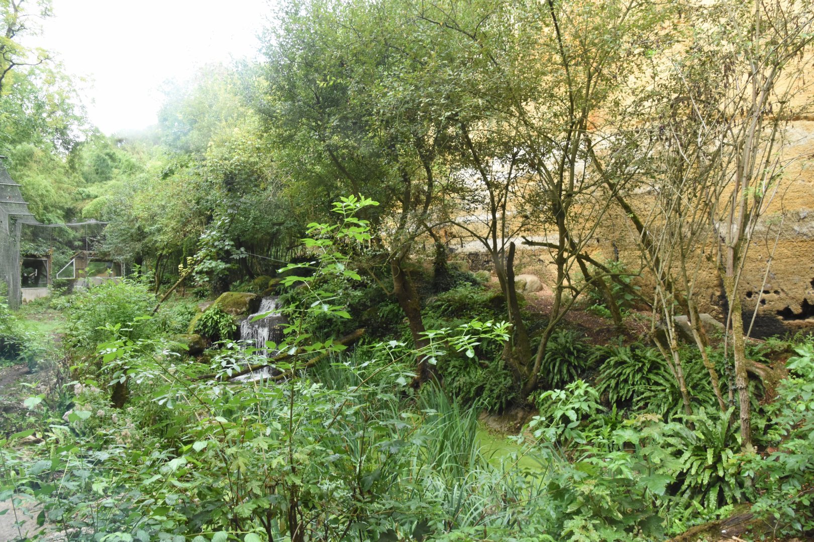 Sri Lankan Leopard enclosure