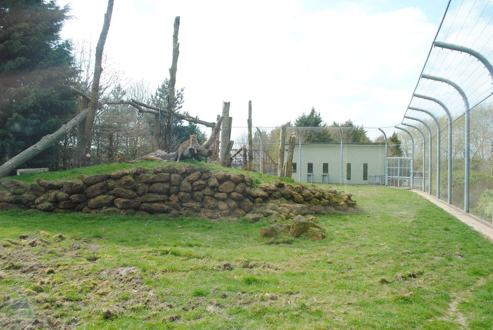 Sri Lankan Leopard Enclosure