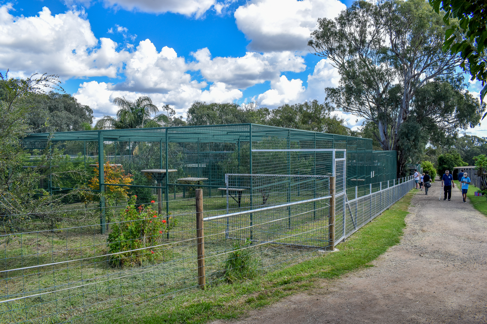 Sri Lankan Leopard Enclosures