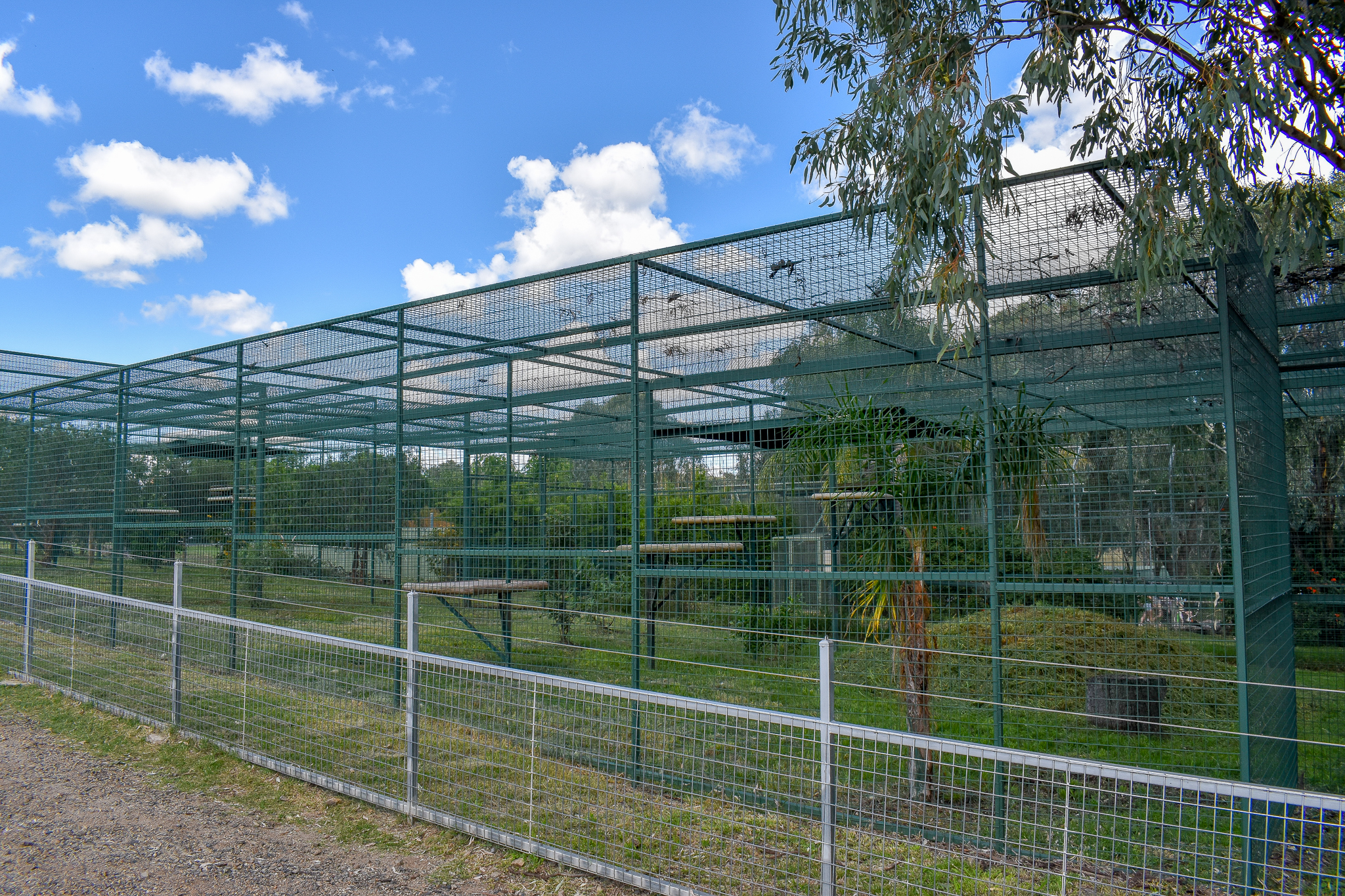 Sri Lankan Leopard Enclosures