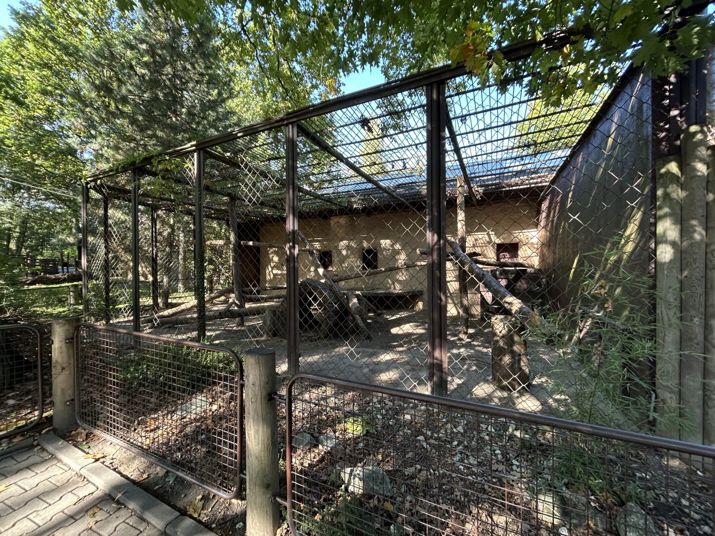 Sri Lankan Leopard Exhibit #1 - Indian Carnivores House