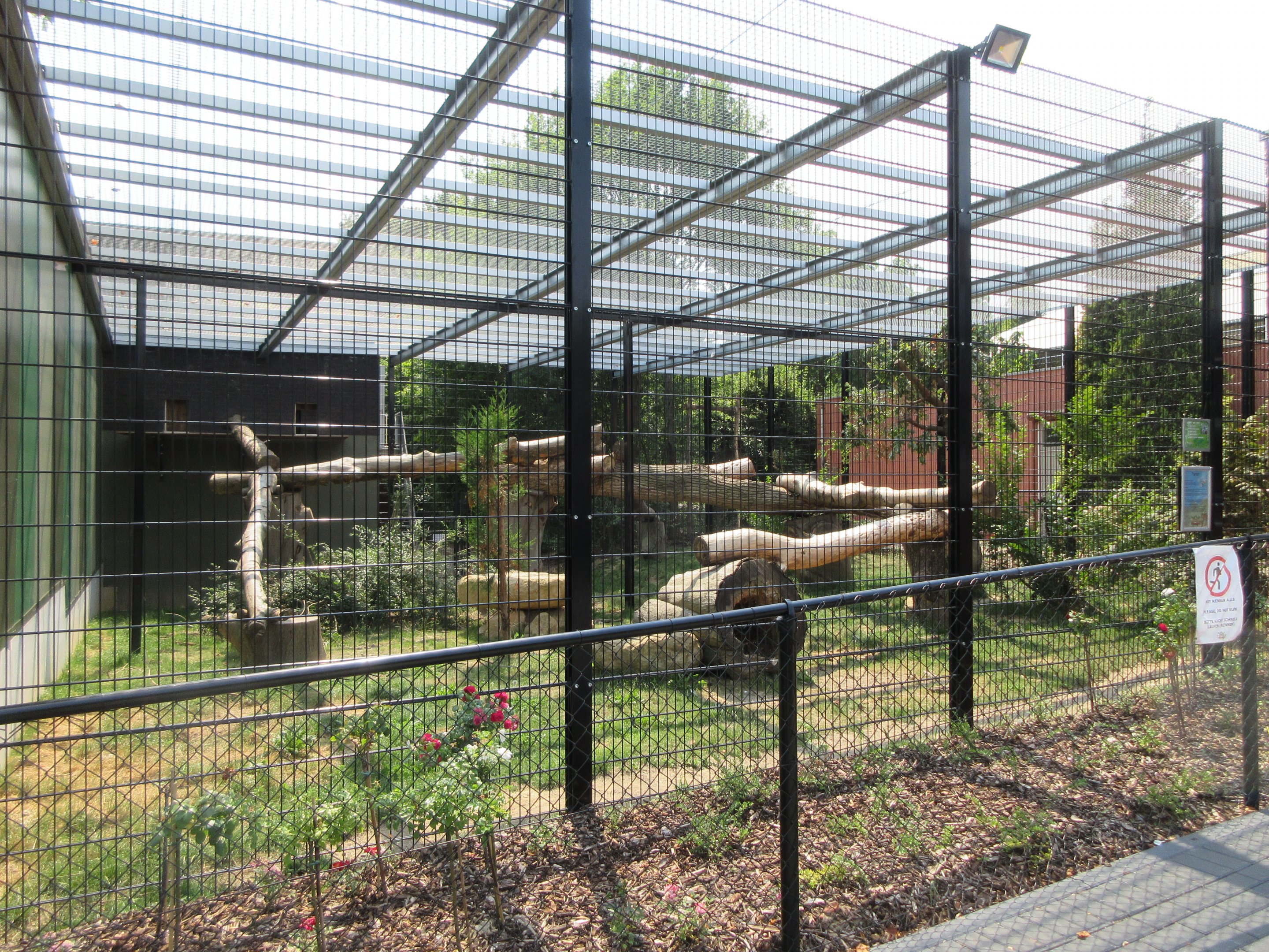 Sri Lankan Leopard Exhibit #1