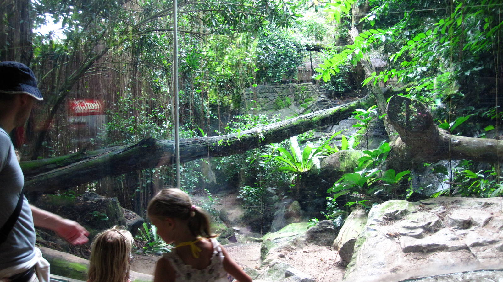 Sri Lankan Leopard exhibit, Cat Country