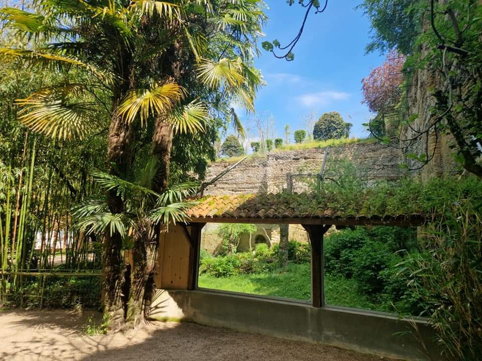 Sri Lankan Leopard exhibit, Leopard Canyon