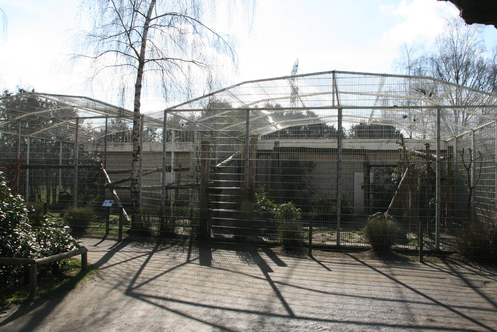 Sri Lankan leopard exhibit