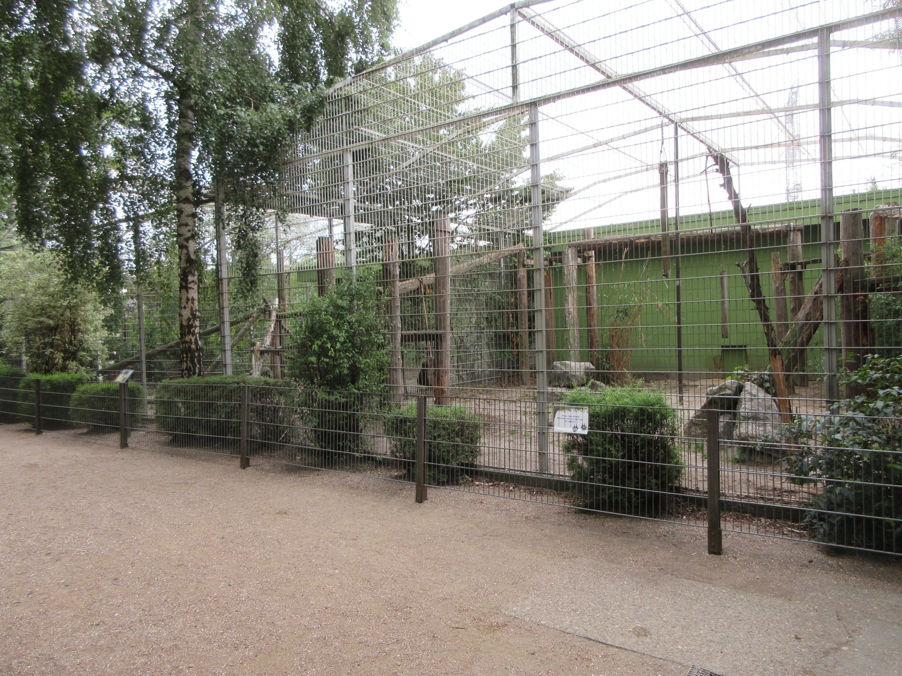 Sri Lankan Leopard Exhibit