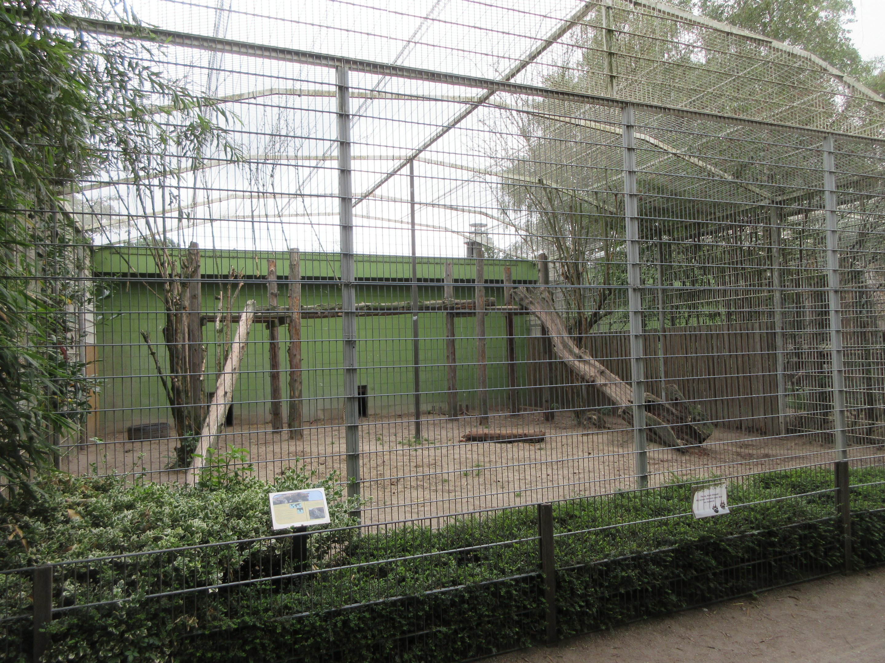 Sri Lankan Leopard Exhibit