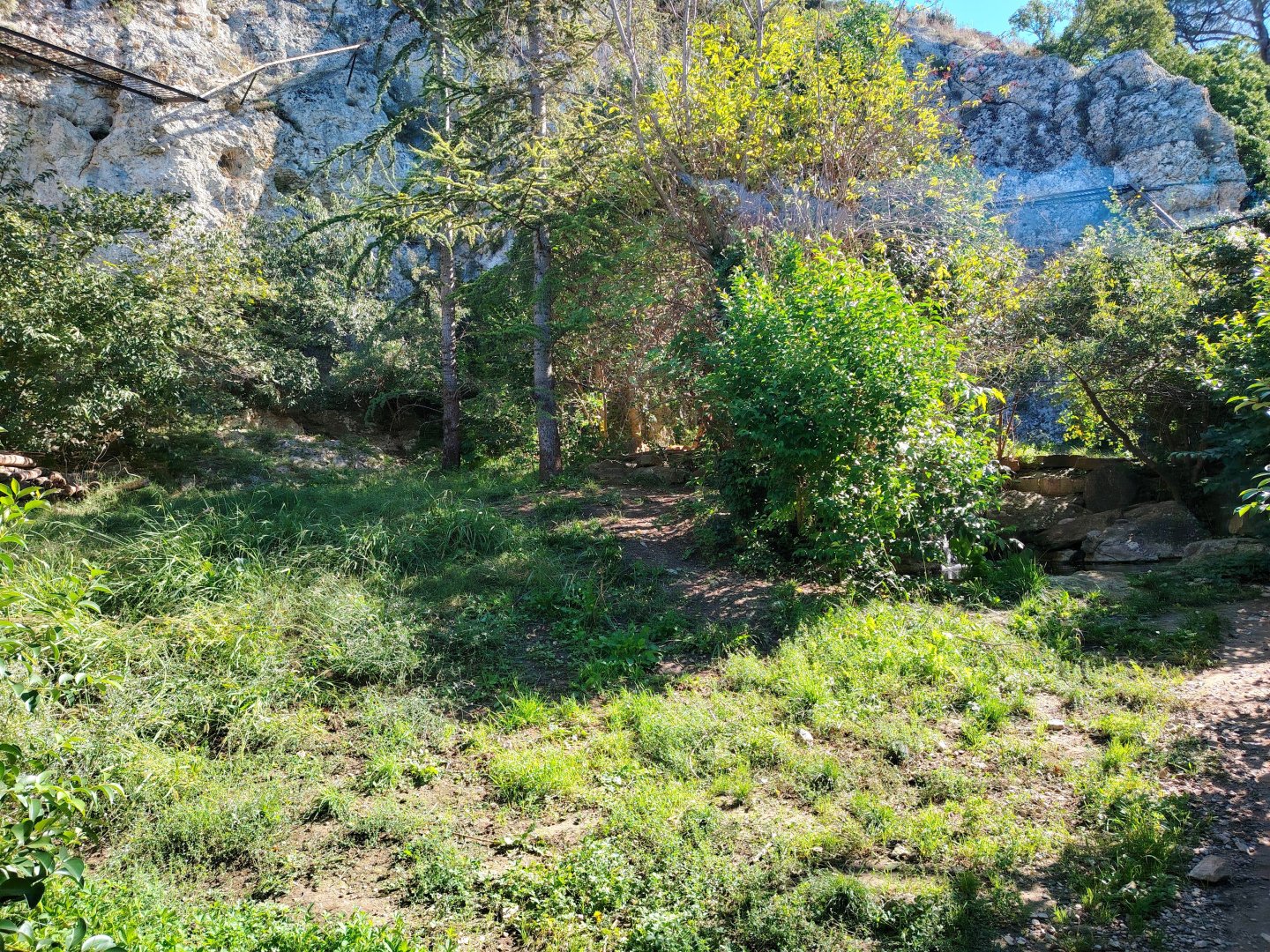 Sri Lankan Leopard Exhibit