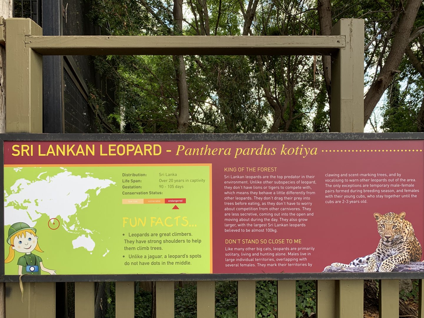 Sri Lankan Leopard Sign
