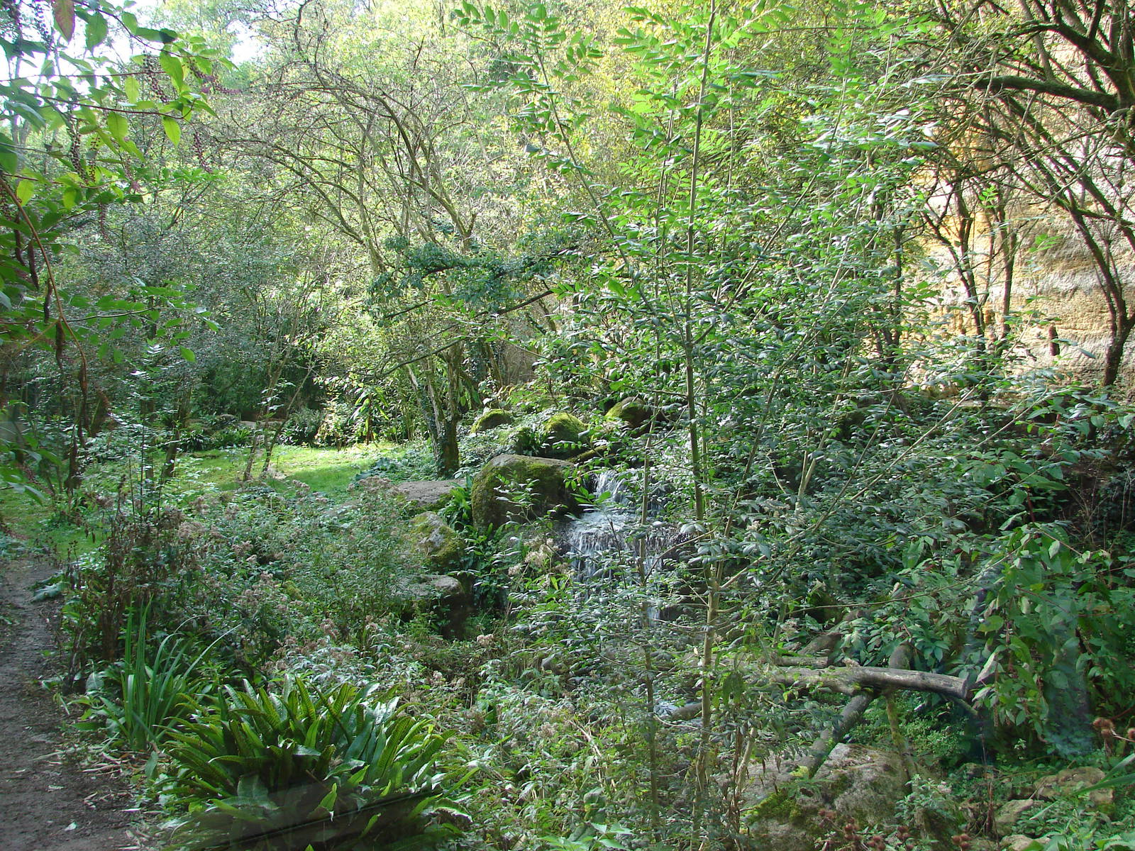 Sri Lankan leopards exhibit