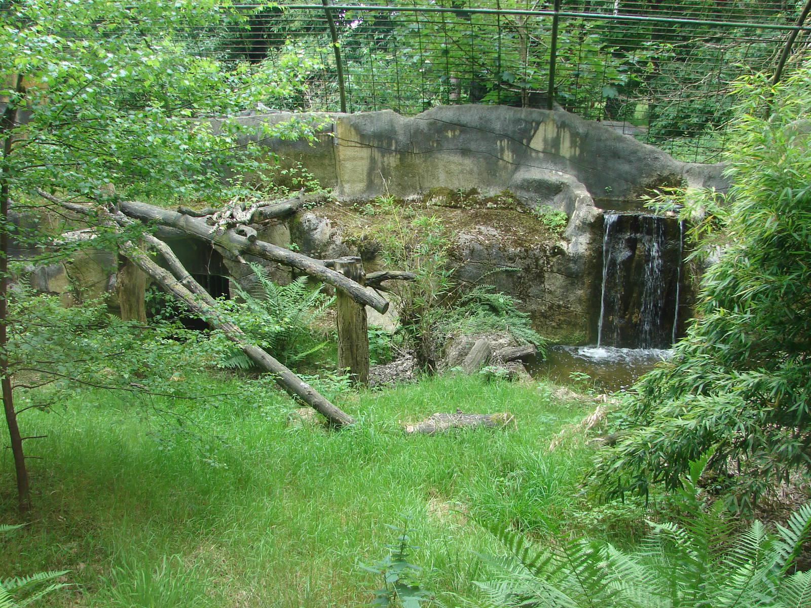 Sri-Lankan leopards exhibit