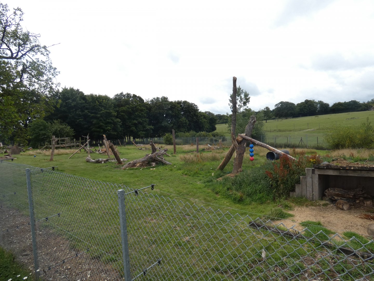 Sri Lankan Sloth Bear enclosure