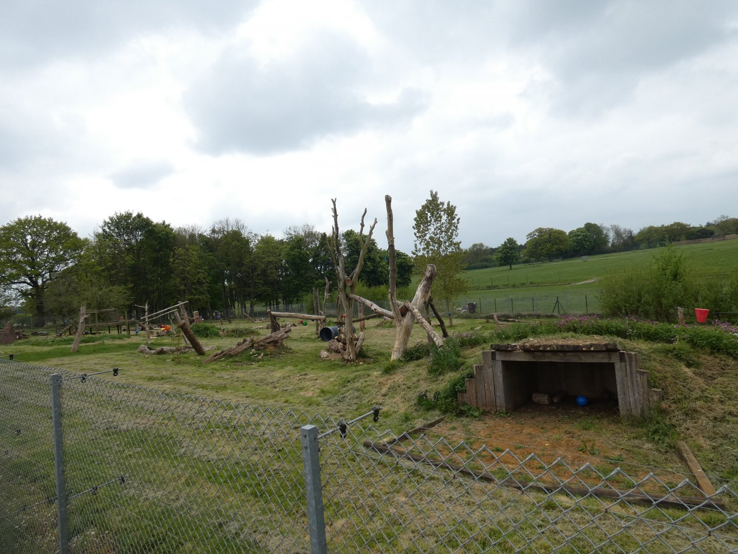 Sri Lankan sloth bear enclosure