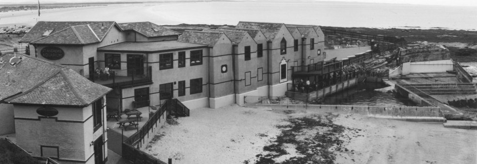 St. Andrews Aquarium, 2001