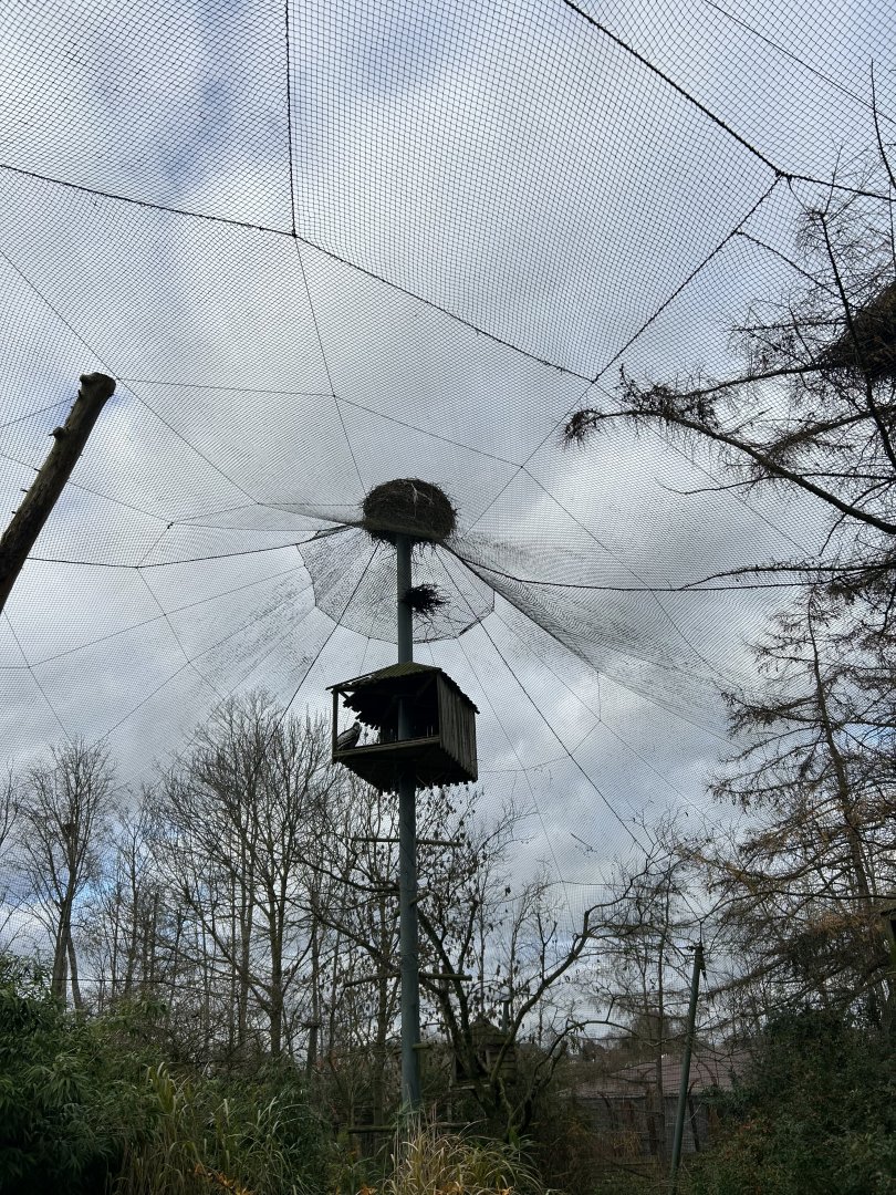 St. Bernard’s aviary
