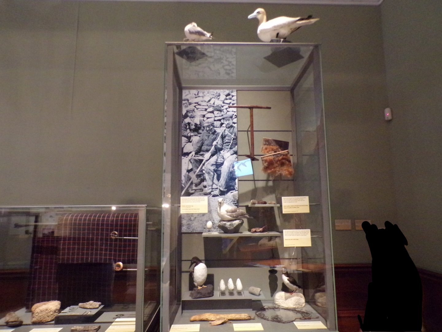 St. Kilda display (taken in Kelvingrove museum) 12.2.24