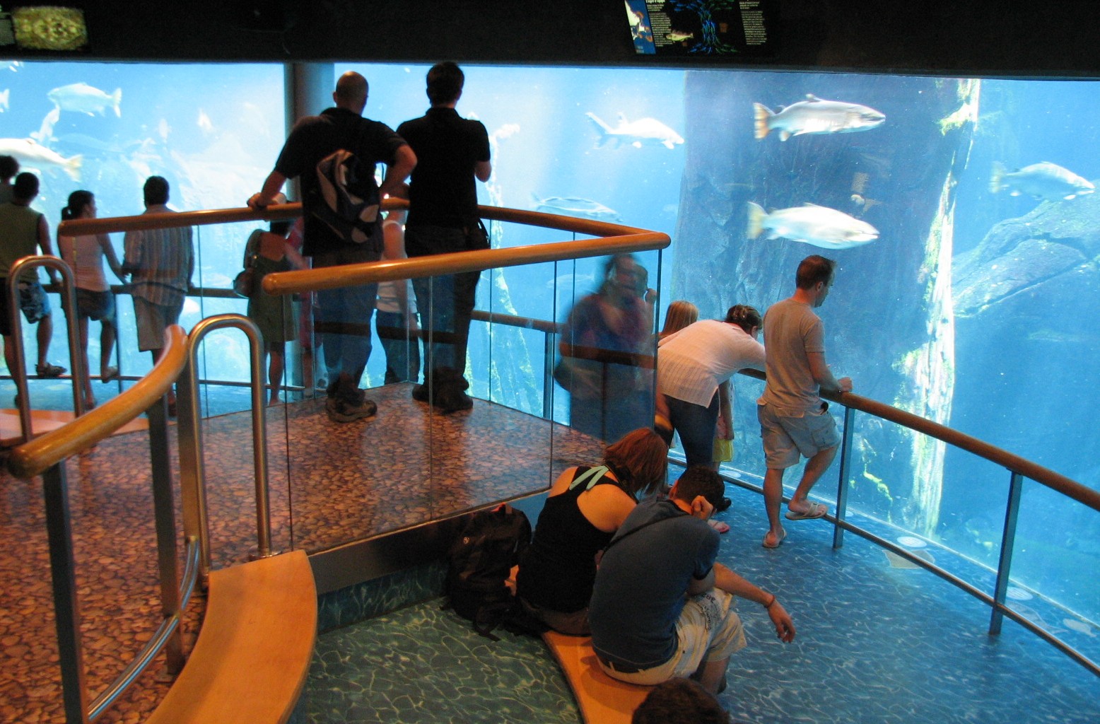 St. Laurence Marine Ecosystem Exhibit