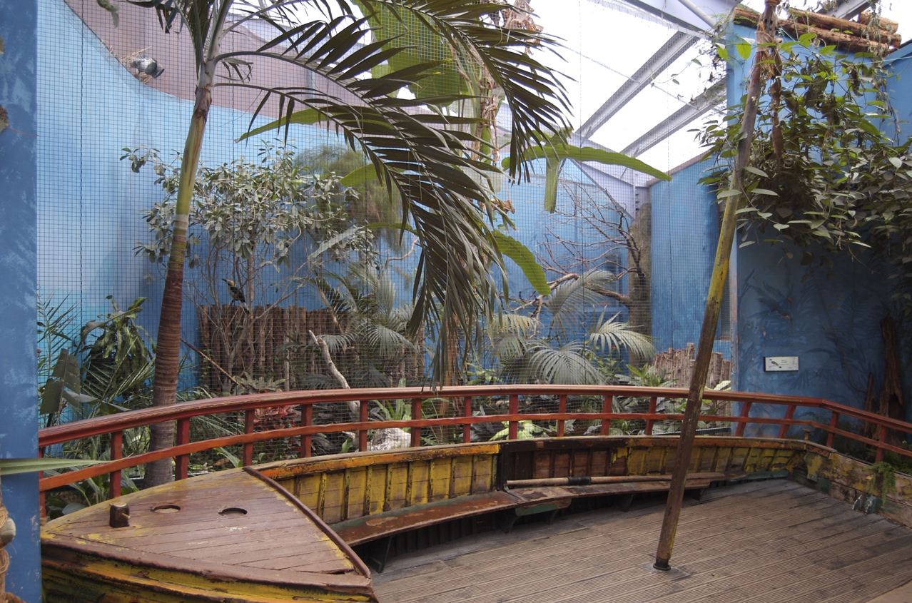 St Lucia amazon aviary (chester)