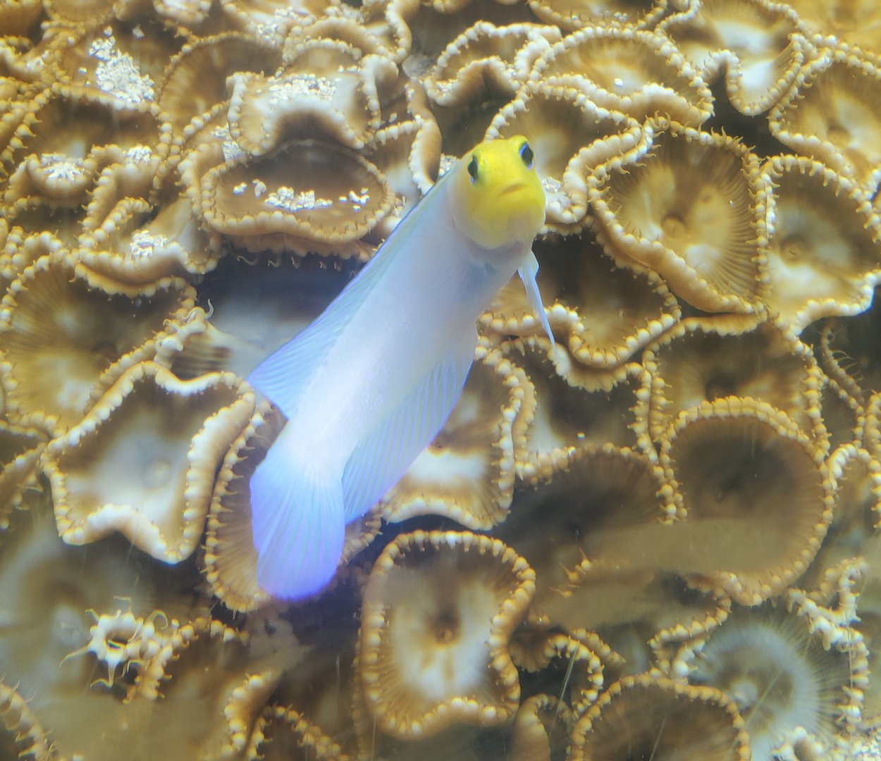 St. Lucie Aquarium - Sudden surprise