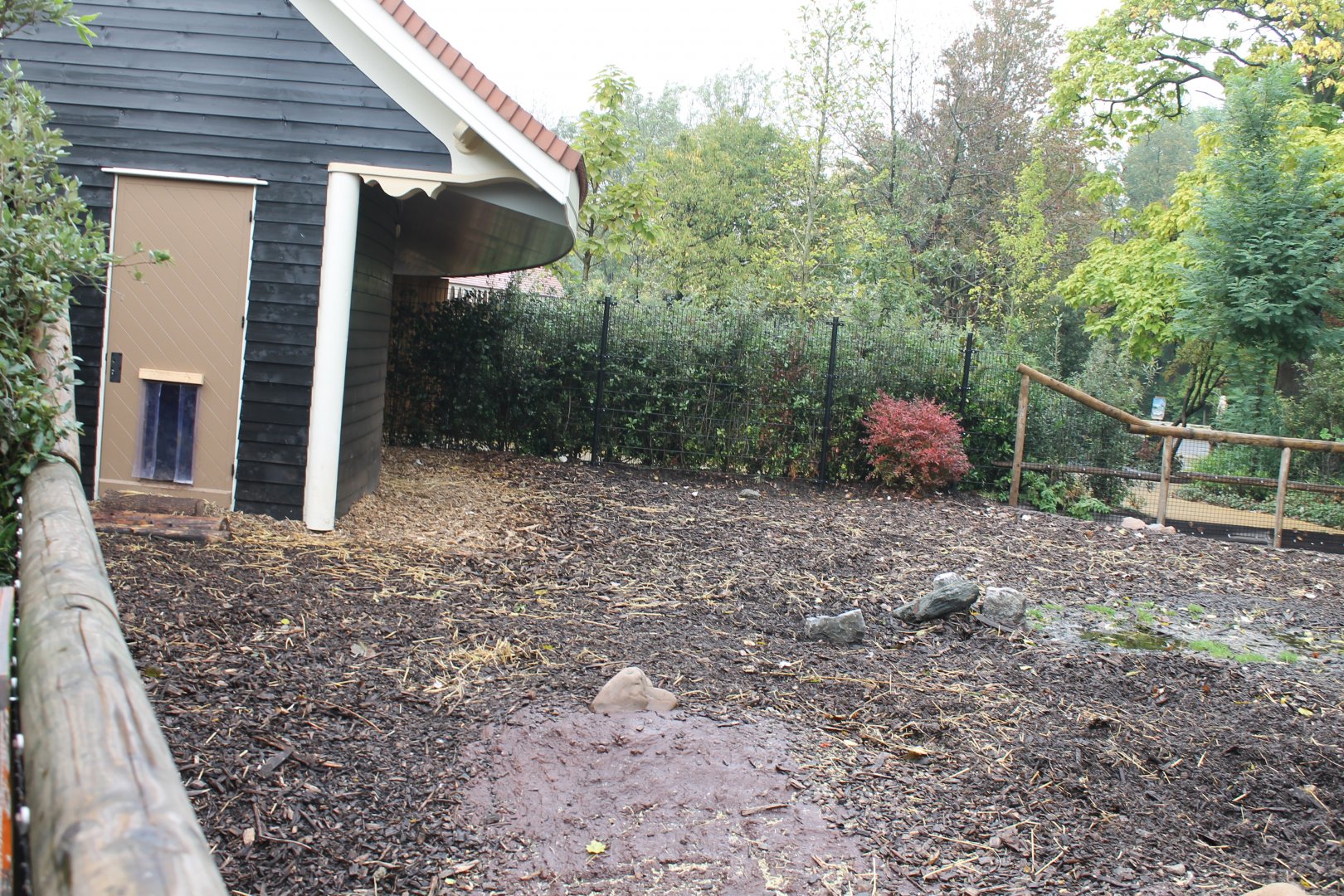Stable and Enclosure Red river hog