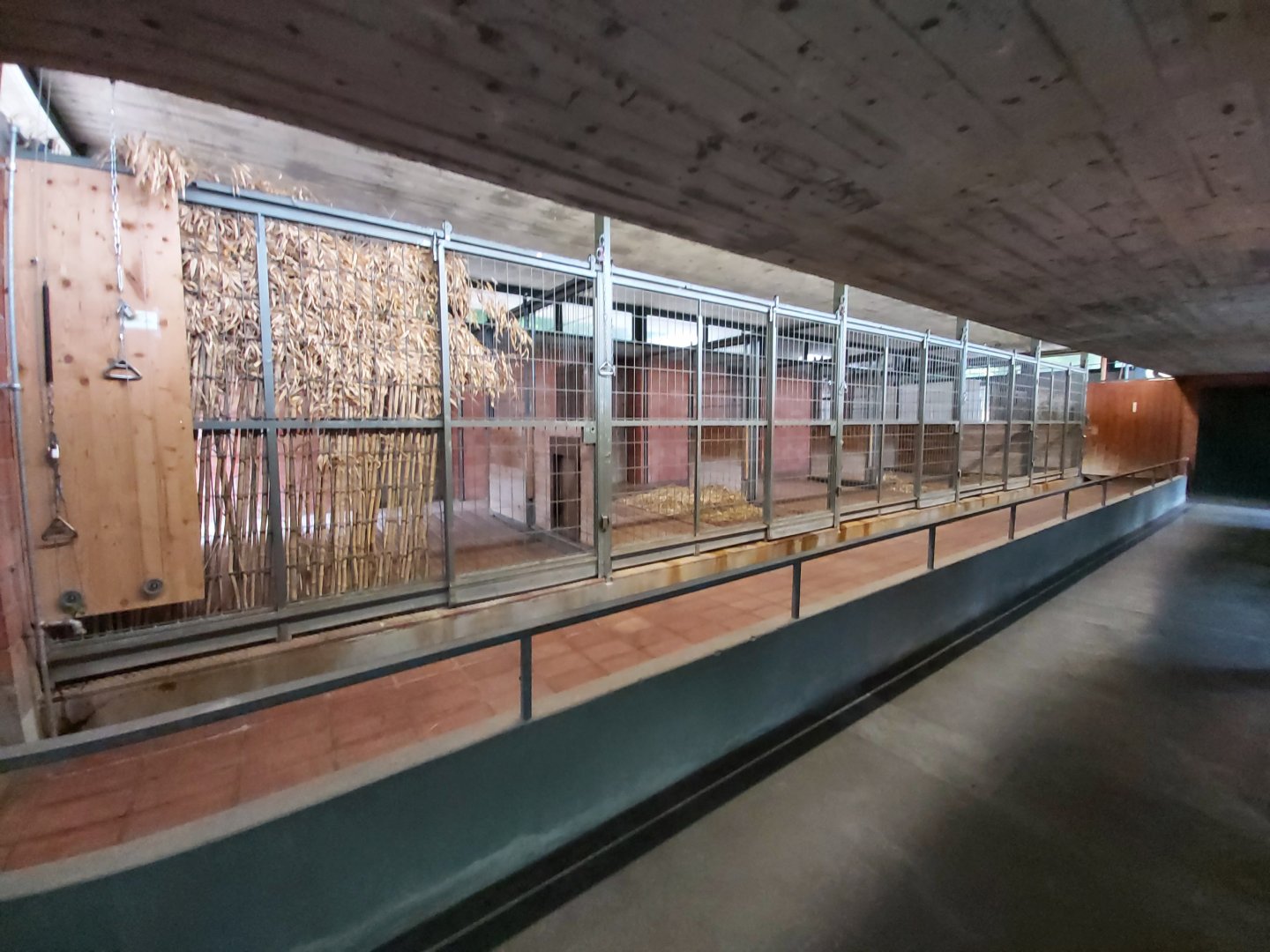 Stable - Arabian oryx house