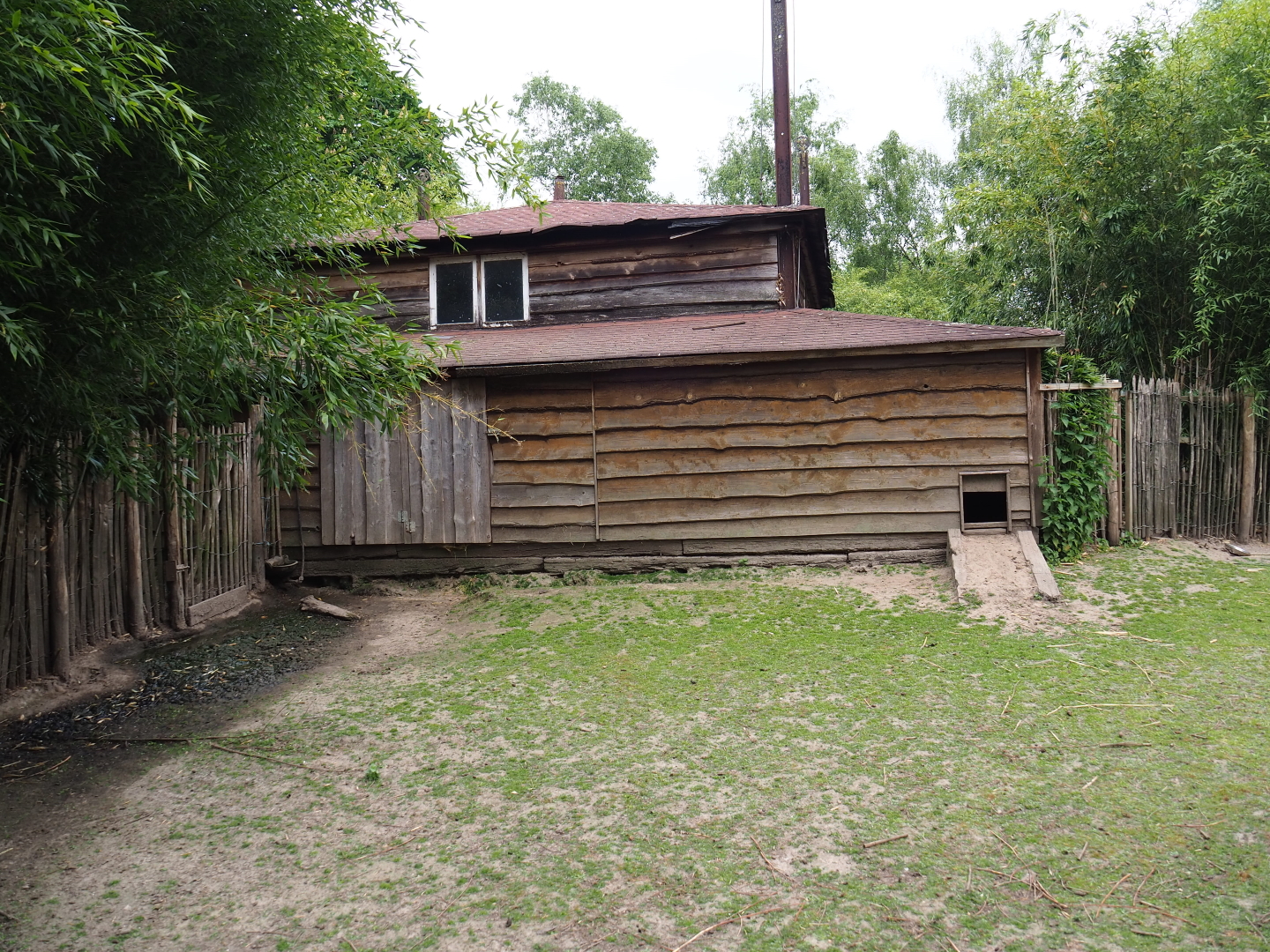 Stable building for kangaroos and other animals, 2019-05-25